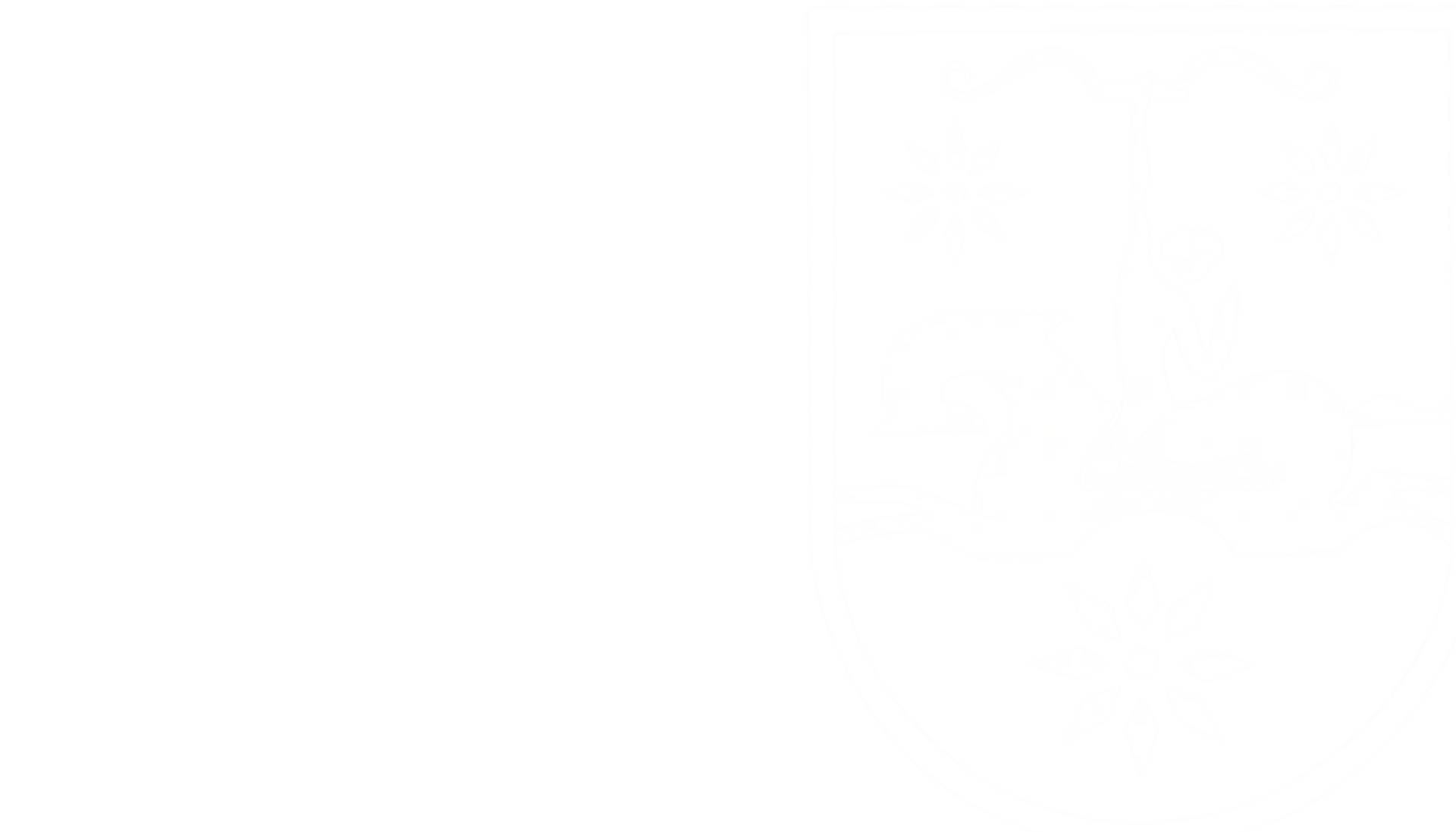 arkaplan2b